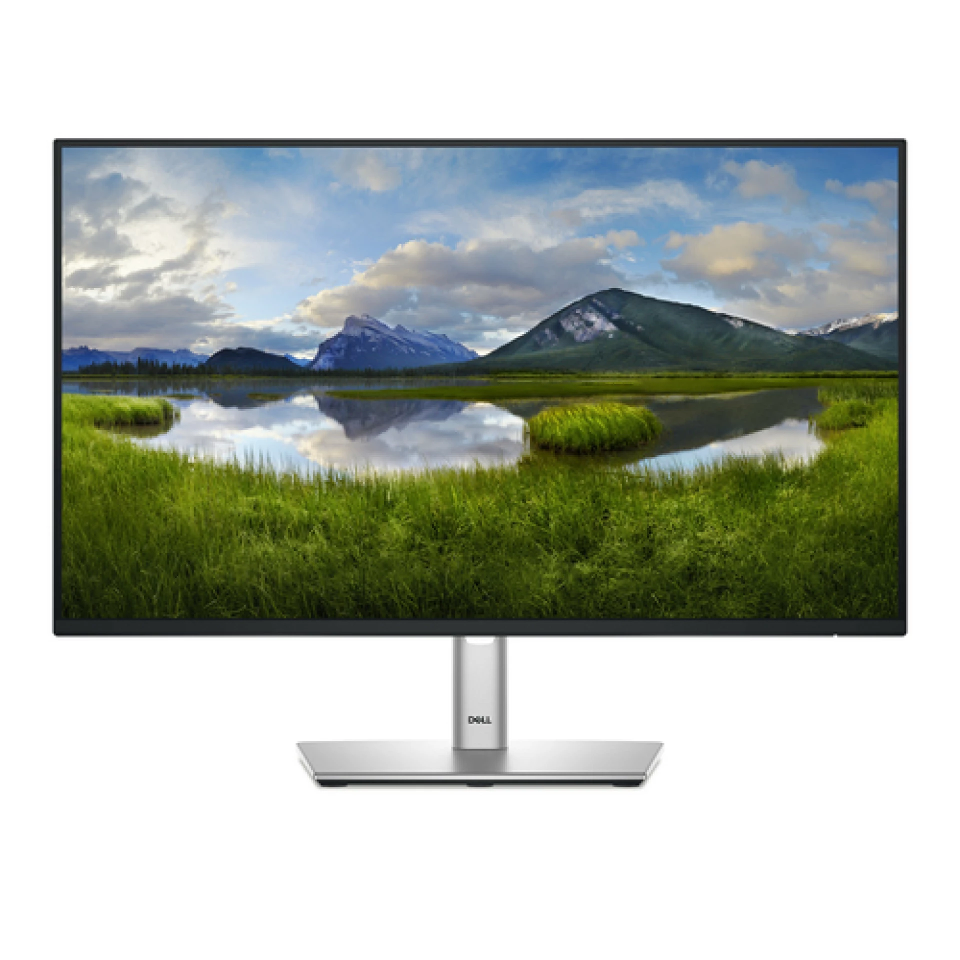 Dell 24 Monitor - P2425HE