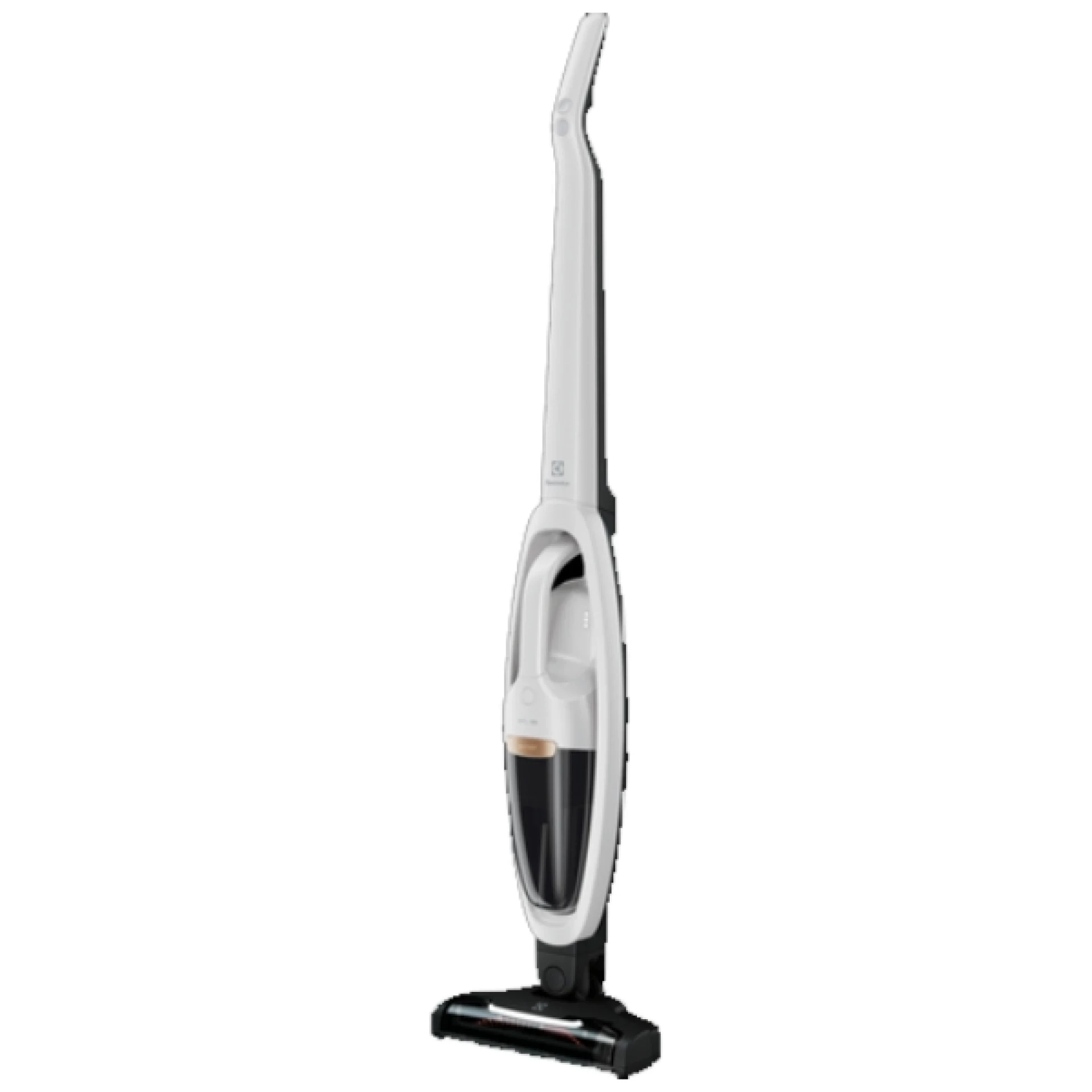 Electrolux stapni usisivac WQ81-PALRS