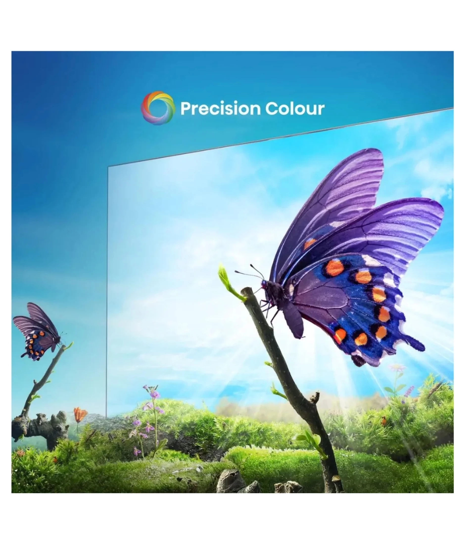 HISENSE TV 65A6N LED