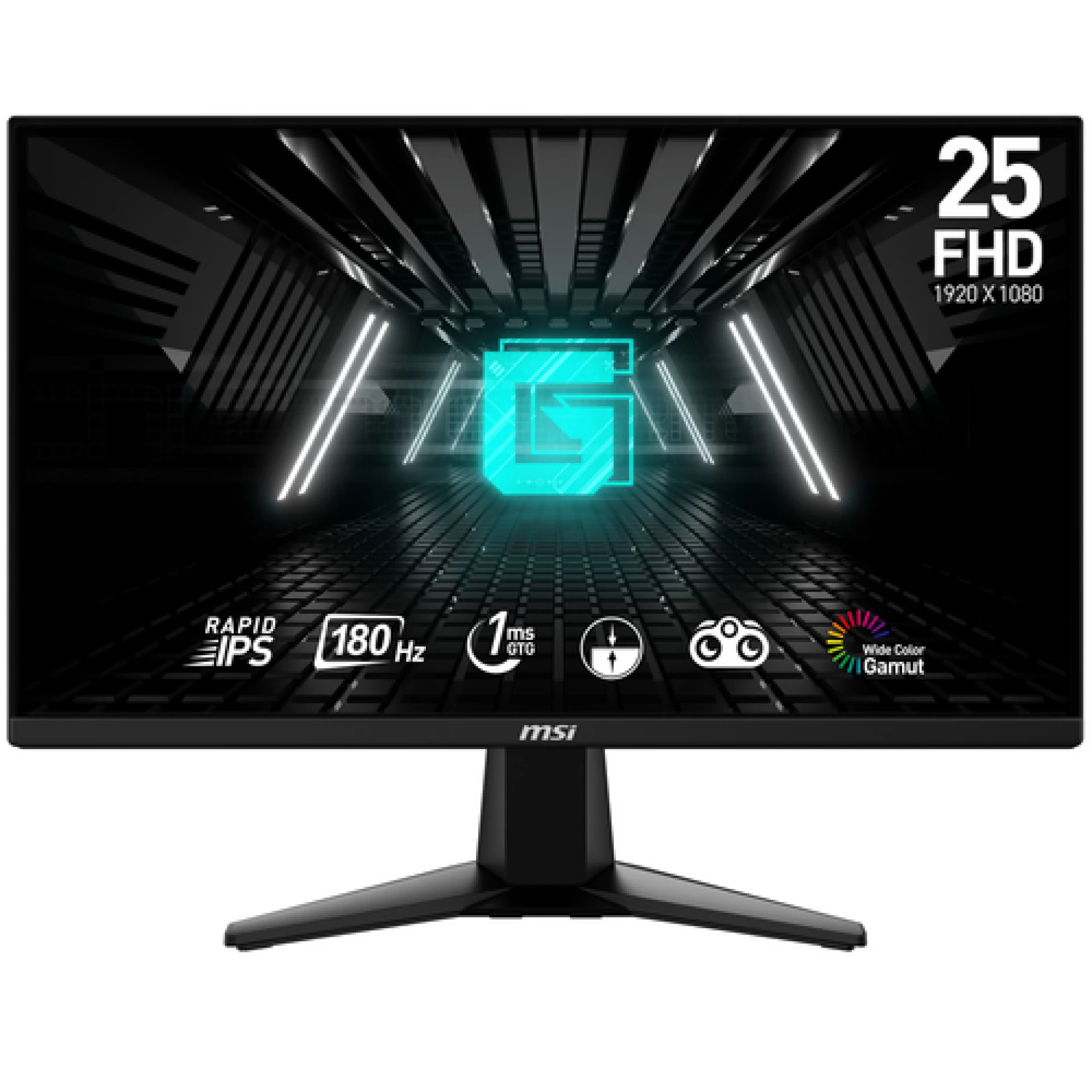 MON 25 MSI G255F FHD IPS 180Hz