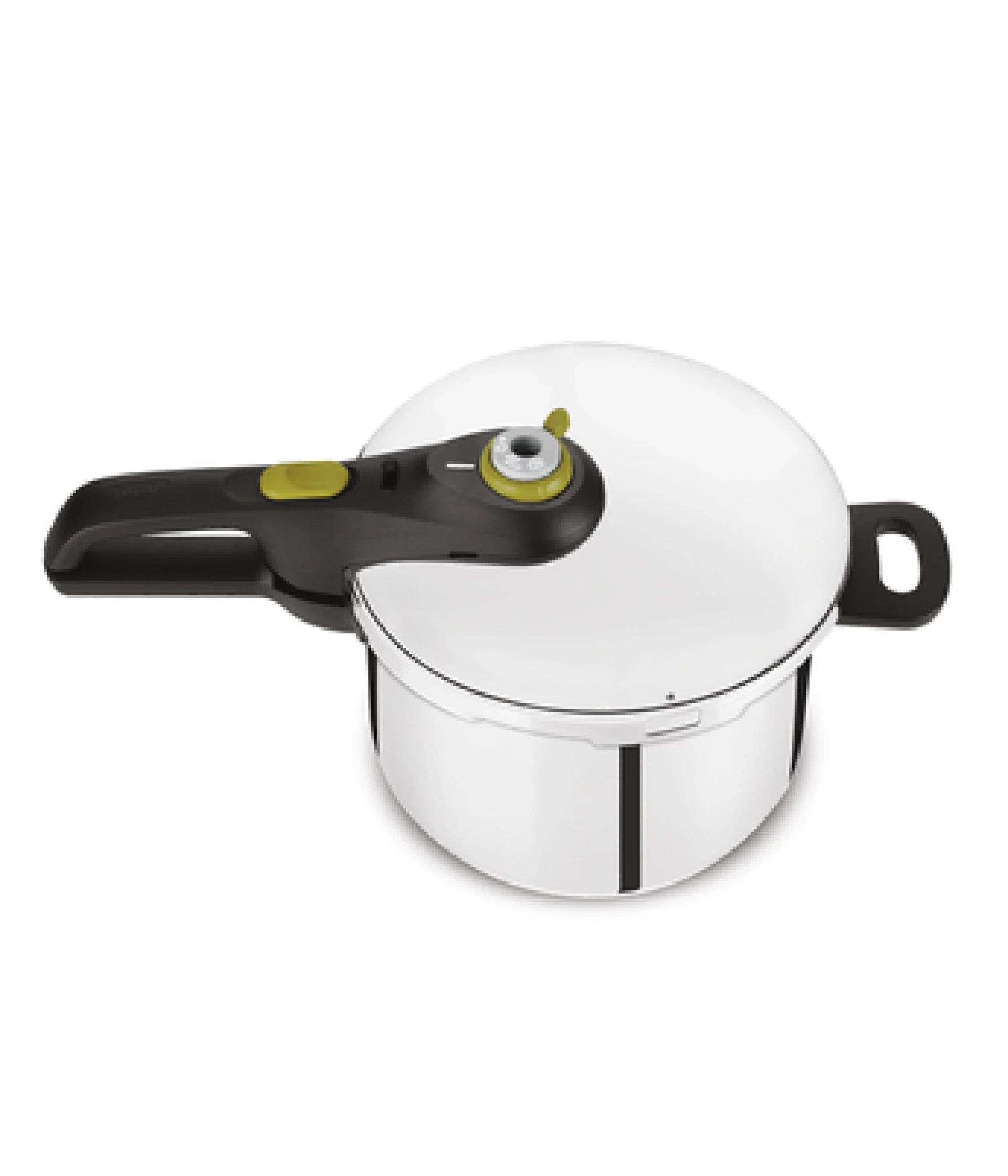 TEFAL Ekspres lonac P2580701 6L