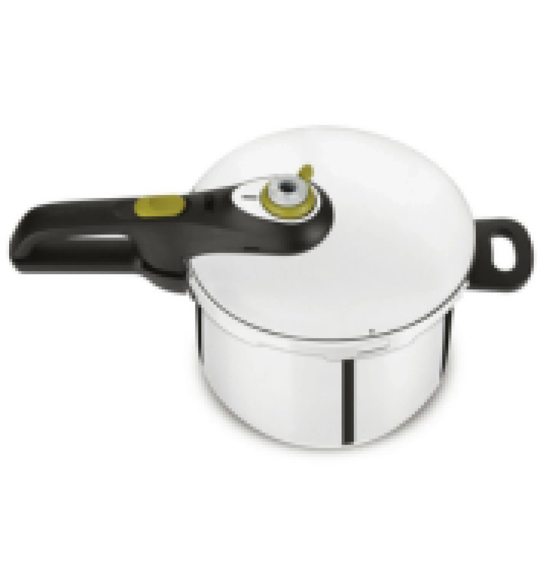 TEFAL pretis lonac P2580709 6L