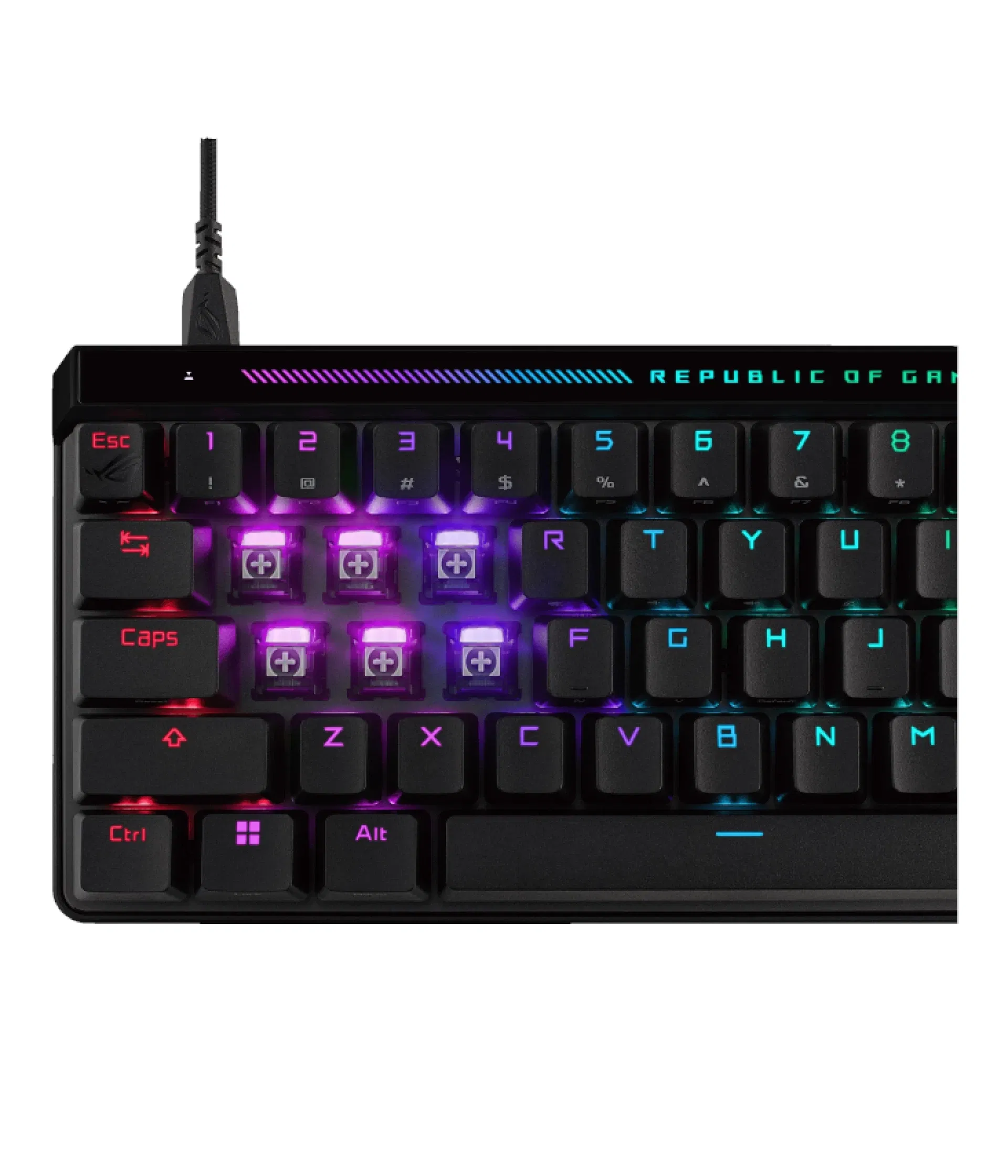 Tipkovnica ASUS ROG FALCHION ACE HFX/HFX/US/PBT