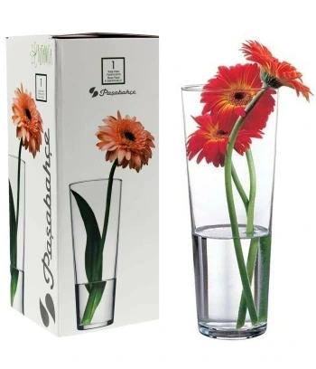 FLORA VAZA 43177 25691