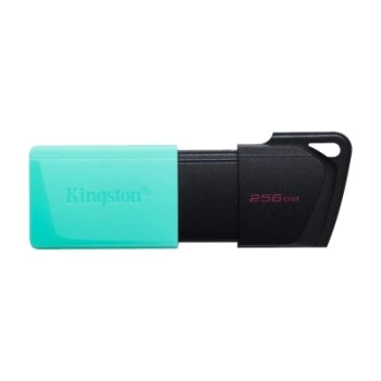 KINGSTON USB stik DTXM/256GB-KS