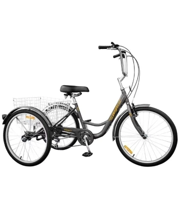 PEGAS bicikl s korpom SENIOR243GRI
